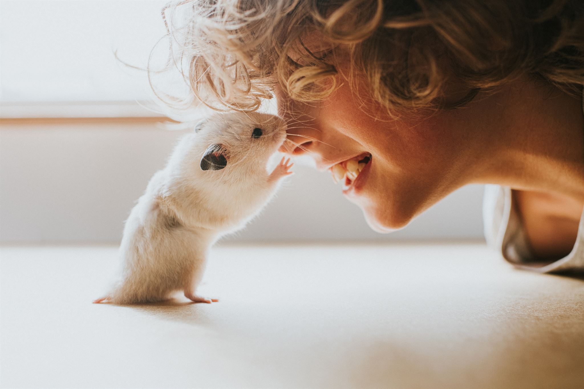 Kleiner-Junge-vor-Hamster